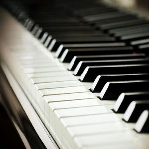 性感美女裸体APP
