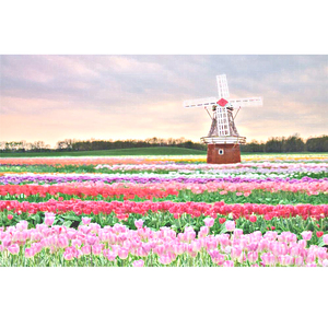 性感美女裸体APP
